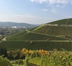 Kunstverein Würzburg Art & Wine Bardorf