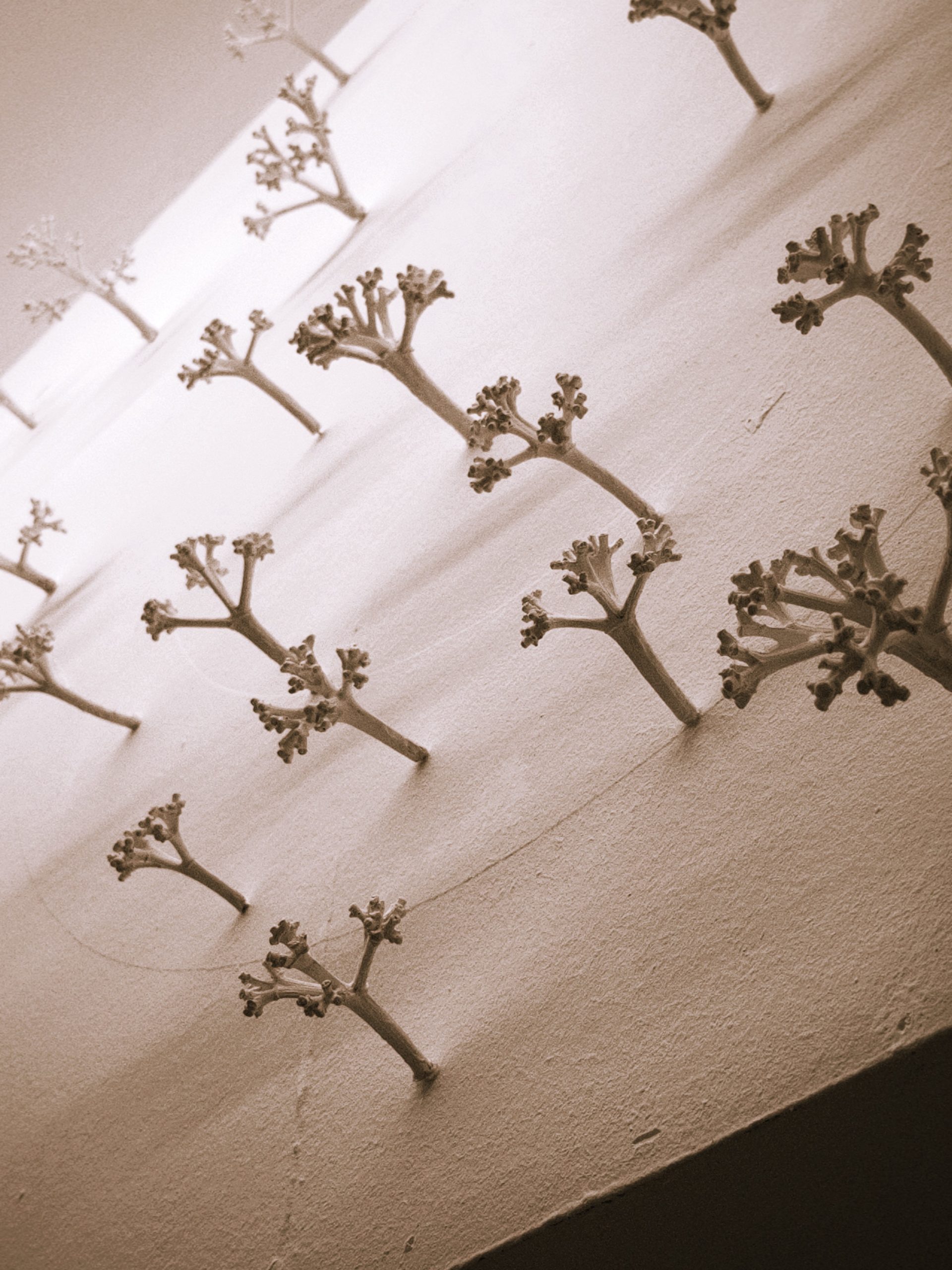 Ausstellung, Kunstverein Würzburg, Verena Friedrich, Currents of silence