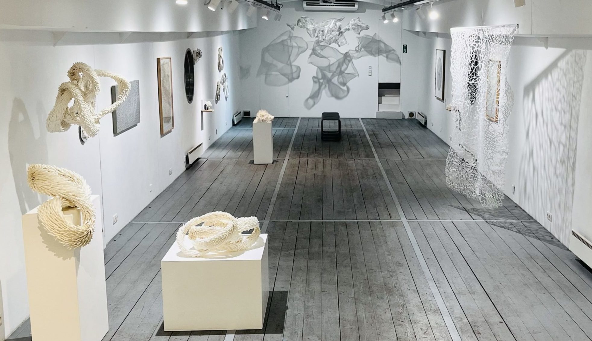 Ausstellung, Kunstverein Würzburg, Verena Friedrich, Currents of silence